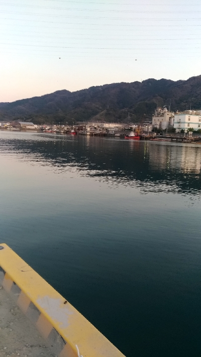 3/24釣果 チヌとサバ