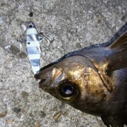 流れが速い時はメタル！！