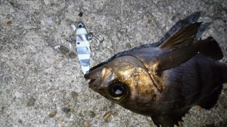 流れが速い時はメタル！！