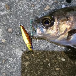 今夜は何でもあり？！