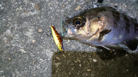 今夜は何でもあり？！