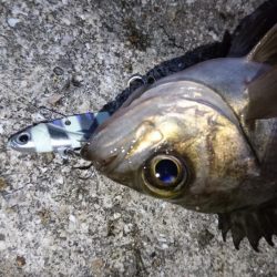 流れが速い時はメタル！！