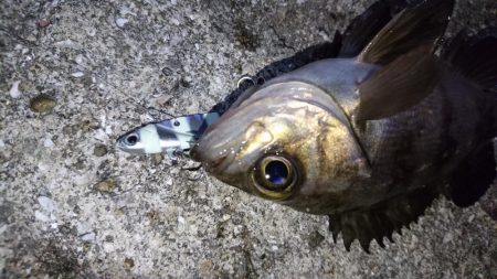 流れが速い時はメタル！！