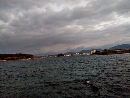 サビキ釣りで、サバとアジ釣れました!!