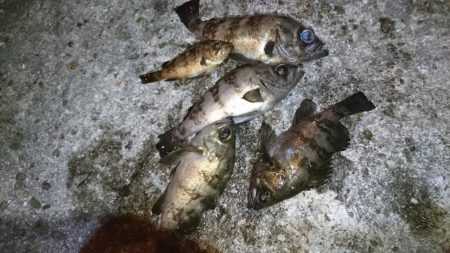 流れが速い時はメタル！！