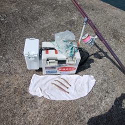 播磨新島のキス釣り