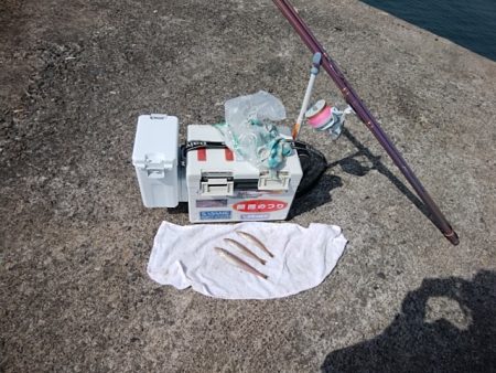 播磨新島のキス釣り
