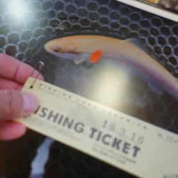 フィッシングレイクたかみや 釣果