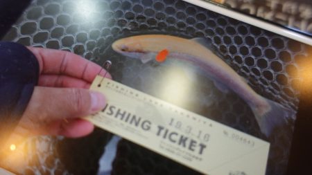 フィッシングレイクたかみや 釣果