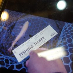 フィッシングレイクたかみや 釣果