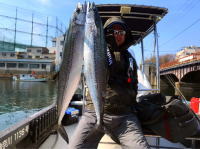 オーシャンマスター 釣果
