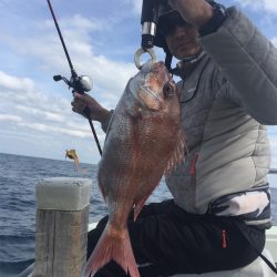 マタウマリンサービス 釣果