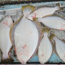 明神釣船 釣果