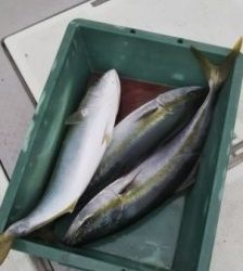 えすぽあ 釣果