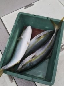 えすぽあ 釣果