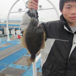 オリジナルメーカー海づり公園(市原市海づり施設) 釣果