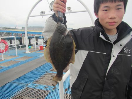 オリジナルメーカー海づり公園(市原市海づり施設) 釣果