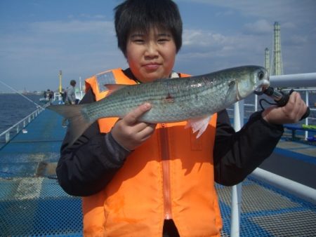 オリジナルメーカー海づり公園(市原市海づり…