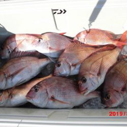 大進丸（新潟） 釣果