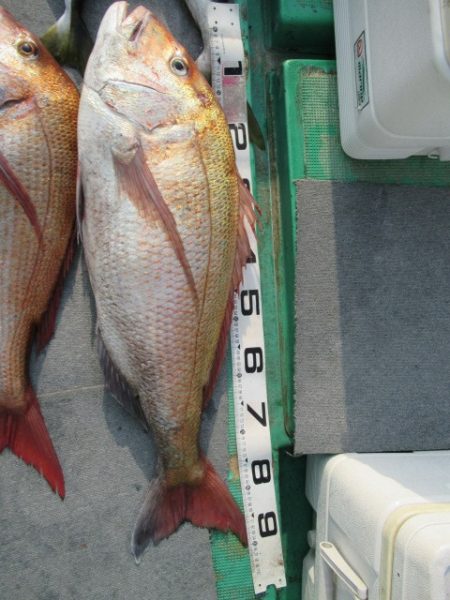 真祐丸 （しんゆうまる） 釣果