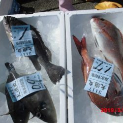 大進丸（新潟） 釣果