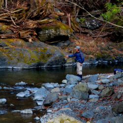 小菅トラウトガーデン 釣果