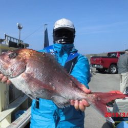大進丸(新潟) 釣果