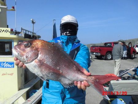 大進丸(新潟) 釣果