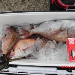 大進丸(新潟) 釣果