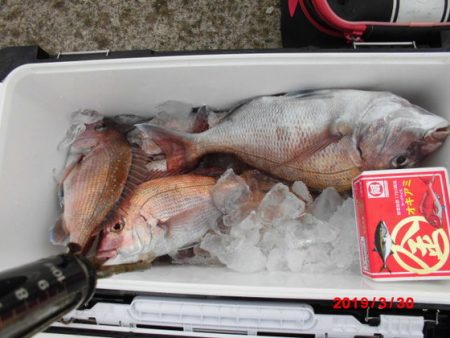 大進丸(新潟) 釣果