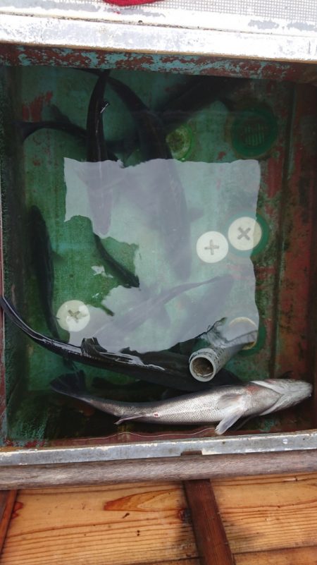 FISHING RISKY 釣果