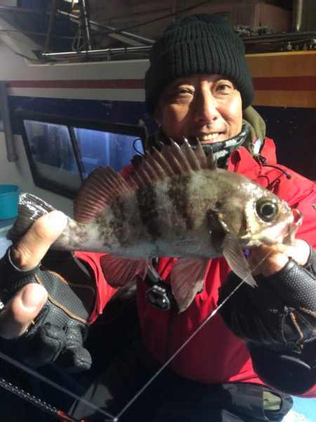 ヤザワ渡船 釣果