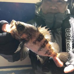 ヤザワ渡船 釣果