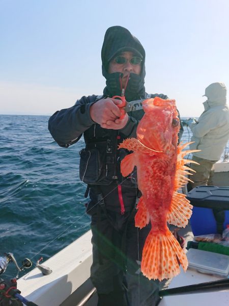 エンペラー 釣果