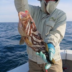 エンペラー 釣果