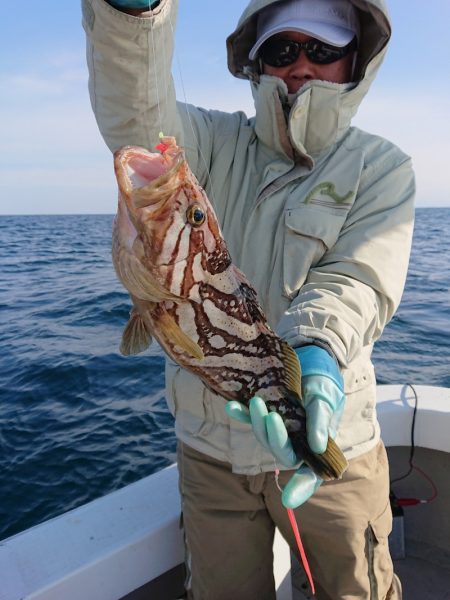 エンペラー 釣果