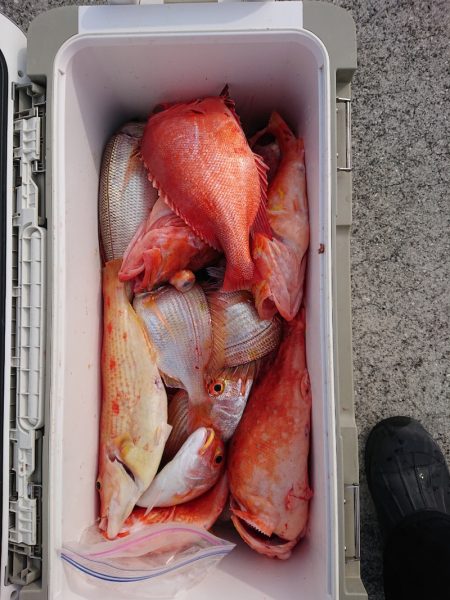 エンペラー 釣果