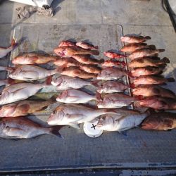 FISHING RISKY 釣果