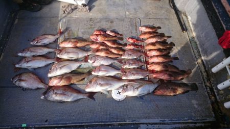 FISHING RISKY 釣果