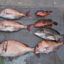 FISHING RISKY 釣果