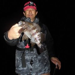 ルアー船マヒマヒ 釣果