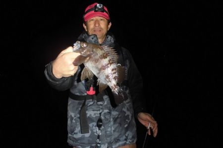 ルアー船マヒマヒ 釣果