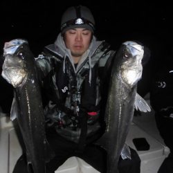 ルアー船マヒマヒ 釣果