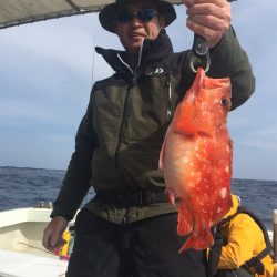 マタウマリンサービス 釣果