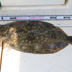 松本釣船２ 釣果