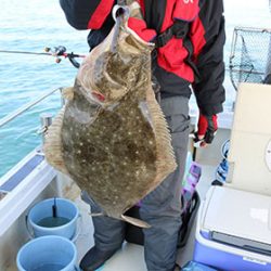 松本釣船２ 釣果