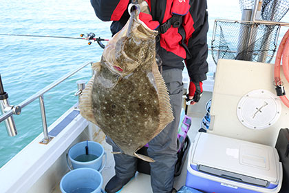 松本釣船２ 釣果