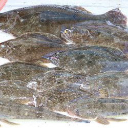 松本釣船２ 釣果