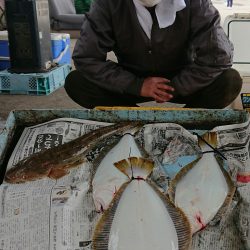明神釣船 釣果