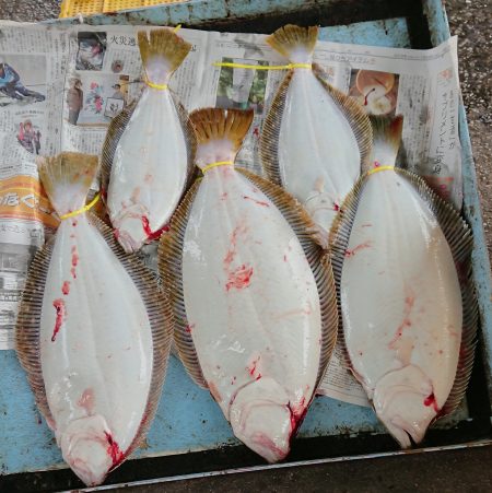 明神釣船 釣果
